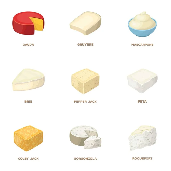 Parmesan, roquefort, maasdam, gauda.Different types de fromage ensemble icônes de collection dans le style dessin animé vectoriel symbole illustration web . — Image vectorielle