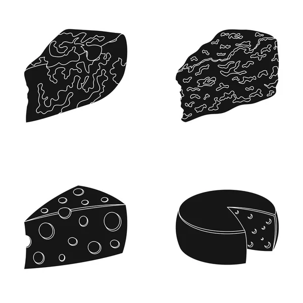 Parmesano, roquefort, maasdam, gauda.Different tipos de queso conjunto colección iconos en negro estilo vector símbolo stock ilustración web . — Vector de stock