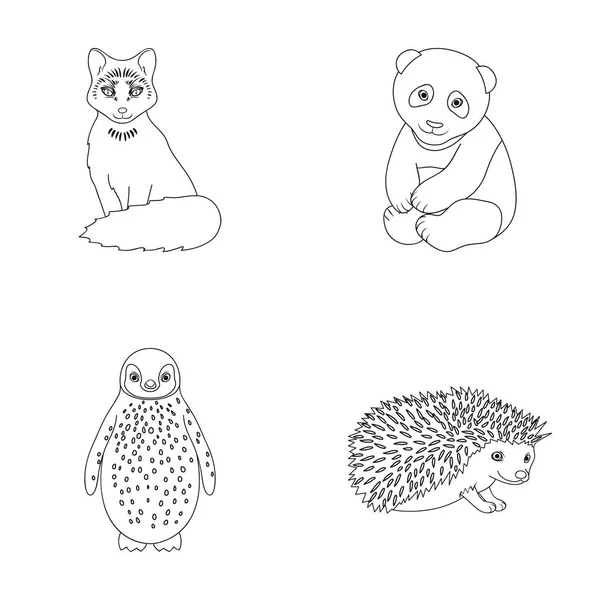 Fox, panda, erizo, pingüino y otros animales.Animals set collection icons in outline style vector symbol stock illustration web . — Vector de stock