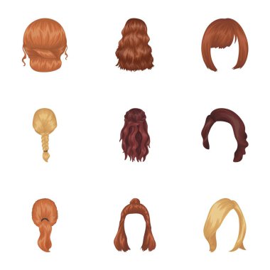 Dörtlü, sarışın örgüler ve diğer türleri saç. Arka saç toplama simgeler karikatür tarzı vektör simge stok çizim web içinde ayarla..