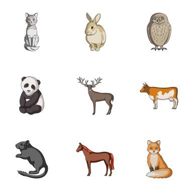 Geyik, kaplan, inek, kedi, horoz, baykuş ve diğer hayvan türleri. Hayvan toplama simgeler karikatür tarzı vektör simge stok çizim web içinde ayarla..
