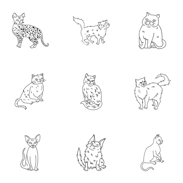 Kolekcja kotów w jeden obraz. Inne koty w jeden obraz. Kot płodzi ikona zestaw kolekcja na zarys styl wektor symbol ilustracji. — Wektor stockowy