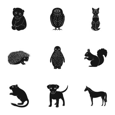 Geyik, kaplan, inek, kedi, horoz, baykuş ve diğer hayvan türleri. Hayvan toplama simgeler siyah stil vektör simge stok çizim web içinde ayarla..