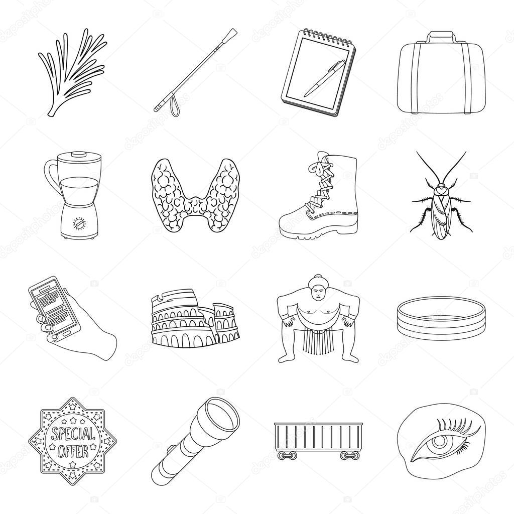 medicine, travel, sports and other web icon in outline style.training, insect, transportation icons in set collection.