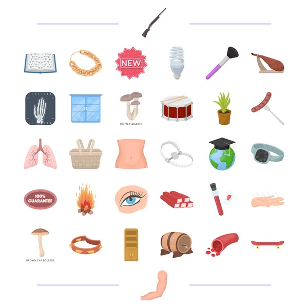 Cuerpo, medicina, comida y otros iconos web en dibujos animados style.man, decoración, iconos de herramientas en la colección de conjuntos . — Vector de stock