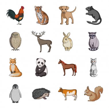 Geyik, kaplan, inek, kedi, horoz, baykuş ve diğer hayvan türleri. Hayvan toplama simgeler karikatür tarzı vektör simge stok çizim web içinde ayarla..