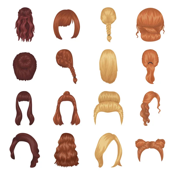 Quads, blond braids and other types of hairstyles. Back hairstyle set collection icons in cartoon style vector symbol stock illustration web. — Stock Vector