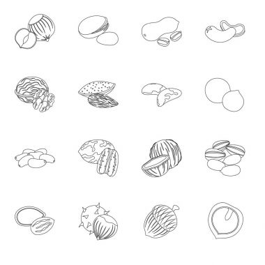 Hazelnut, pistachios, peanuts and other types of nuts.Different types of nuts set collection icons in line style vector symbol stock illustration web.