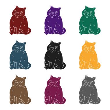 Egzotik stenografi simgesinde siyah stil beyaz arka plan üzerinde izole. Kedi doğurmak stok vektör çizim sembolü.