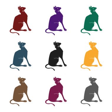 Siyam simge siyah stil beyaz arka plan üzerinde izole içinde. Kedi doğurmak stok vektör çizim sembolü.