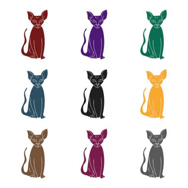 Peterbald simge siyah stil beyaz arka plan üzerinde izole içinde. Kedi doğurmak stok vektör çizim sembolü.