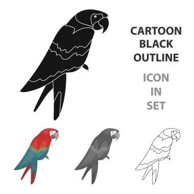 Korsanlar simgesi beyaz arka plan üzerinde izole karikatür tarzı papağan. Korsanlar sembol stok vektör çizim.