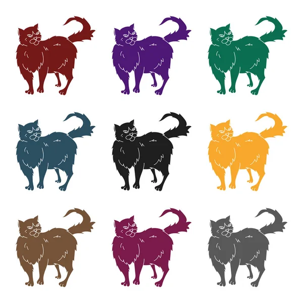 Farsça simge siyah stil beyaz arka plan üzerinde izole içinde. Kedi doğurmak stok vektör çizim sembolü.