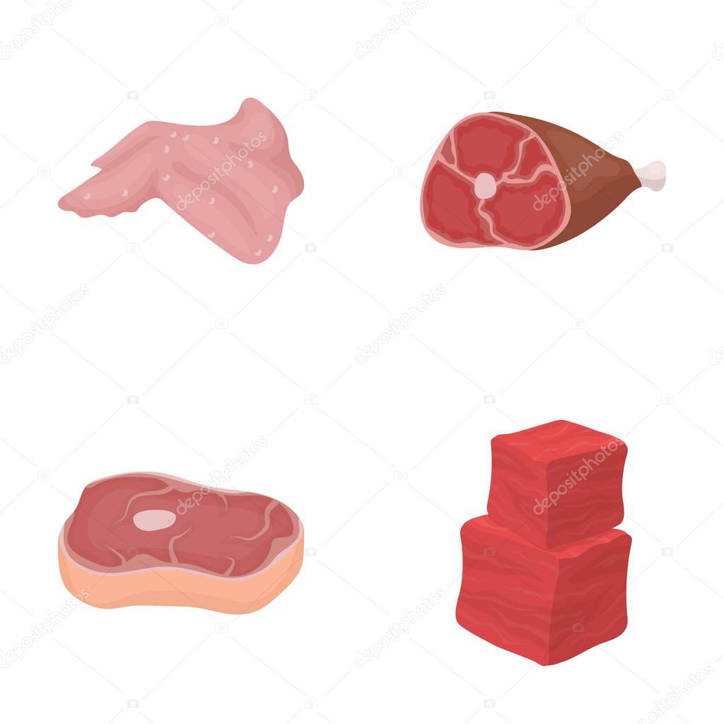 Chicken wings, ham, raw steak, beef cubes. Meat set collection icons in cartoon style vector symbol stock illustration .
