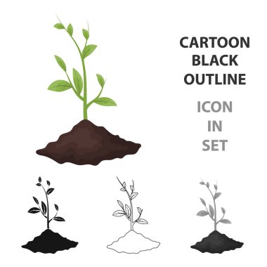 Beyaz arka plan üzerinde izole anahat stili simgesini Filiz. Biyoloji ve ekoloji sembol stok vektör çizim.