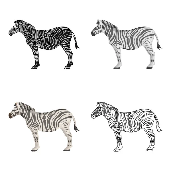Африканський, пустелі зебри. Дикі cloven-hoofed тварина, Зебра одномісний значок мультфільму стиль вектор символ запас ілюстрація веб-вузла. — стоковий вектор