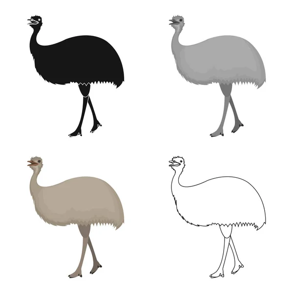 Pták, pštros emu. Africký divoký pštros jednoduché ikony v kreslený styl vektor symbol akcií ilustrace web. — Stockový vektor
