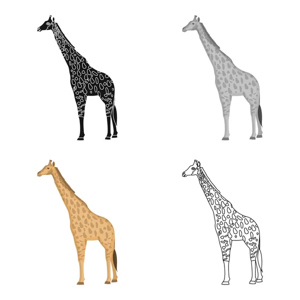 Girafa é o animal terrestre mais alto. Um animal selvagem, um ícone único girafa em desenho animado estilo vetor símbolo estoque ilustração web . —  Vetores de Stock