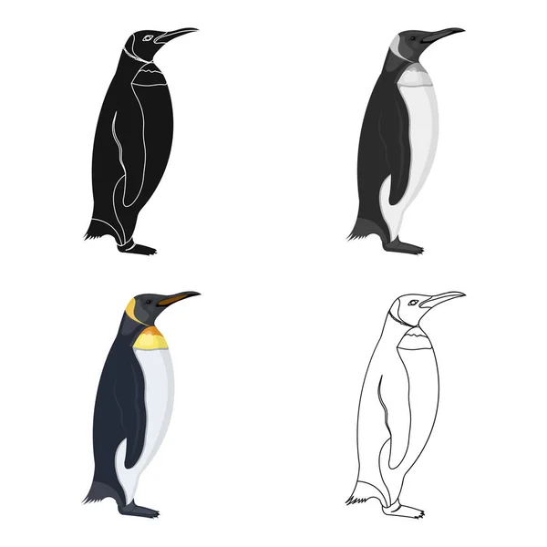 Pingvin, havet fågel. Den kejserliga pingvin enskilt ikonen i tecknad stil vektor symbol stock illustration web. — Stock vektor