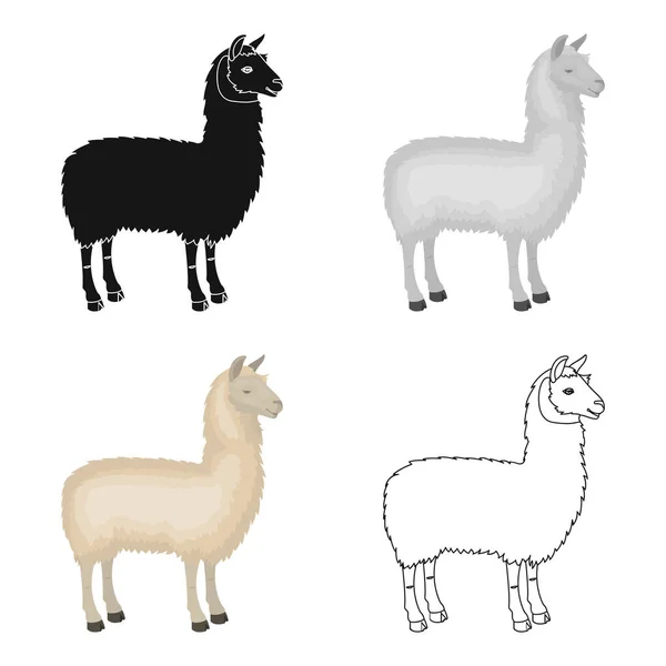 Lama, um animal sul-americano. Um coxo, um ícone único mamífero de cascos de trevo em desenho animado estilo vetor símbolo estoque ilustração web . — Vetor de Stock