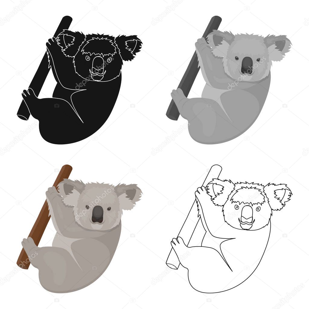 Kuala, marsupial bear on a branch of eucalyptus. Wild mammal of koala single icon in cartoon style vector symbol stock illustration web.