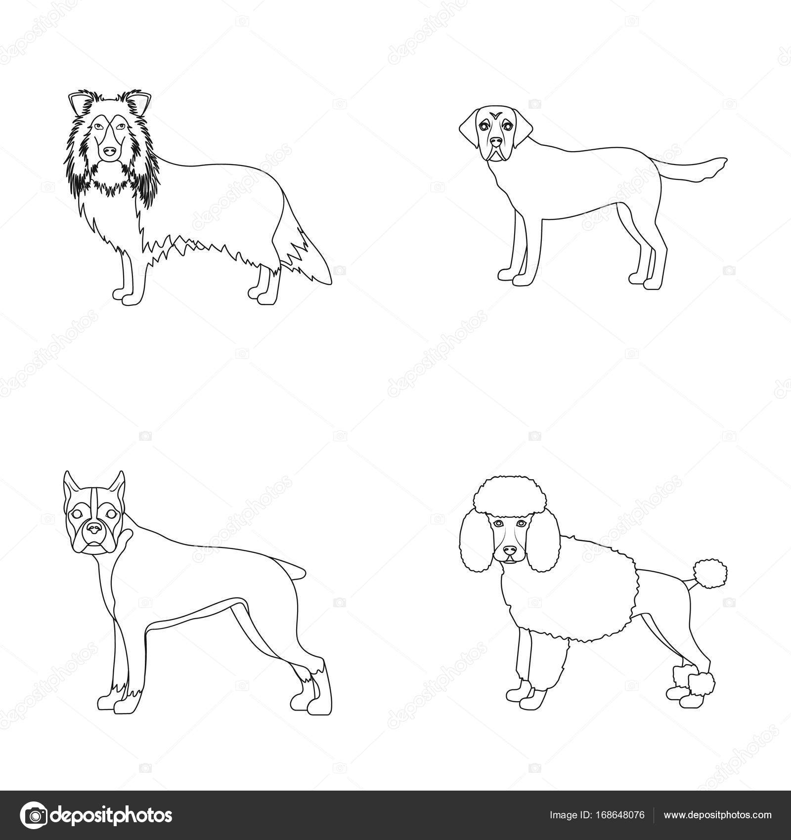 犬、ライカ、ビーグル、アウトラインのスタイルの web アイコン