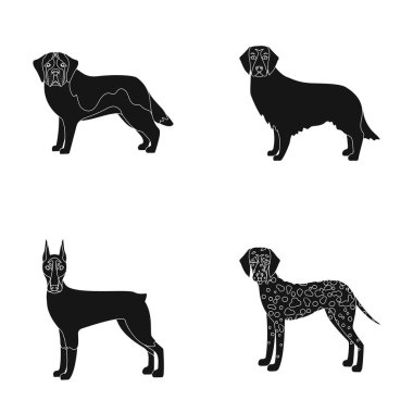 Doberman, köpek, Evcil ve diğer web simge siyah stil içinde. Beagle, geri almak, dolmatian, küme koleksiyon simgeler.