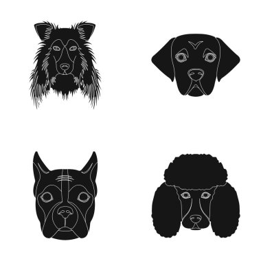 Farklı doğurmak-in köpek ağızlık. Kömür ocağı doğurmak köpek, lobladore, fino köpeği, boksör siyah stil vektör simge stok çizim web simgeler ayarla.