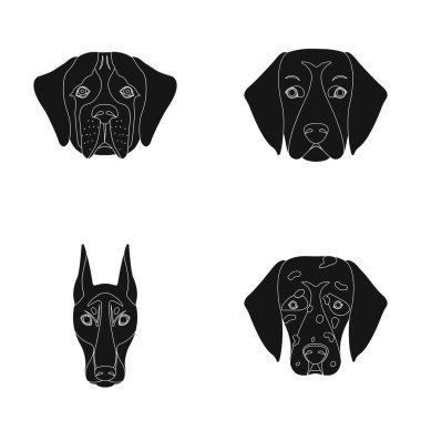 Farklı doğurmak-in köpek ağızlık. Doğurmak St. Bernard, golden retriever, Doberman, Dalmaçyalı köpek toplama simgeler siyah stil vektör simge stok çizim web içinde ayarla..
