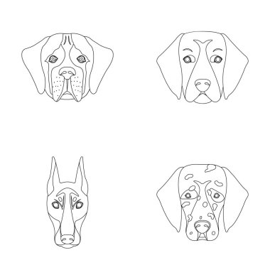 Farklı doğurmak-in köpek ağızlık. Doğurmak St. Bernard, golden retriever, Doberman, Dalmaçyalı köpek toplama simgeler anahat stili vektör simge stok çizim web içinde ayarla..