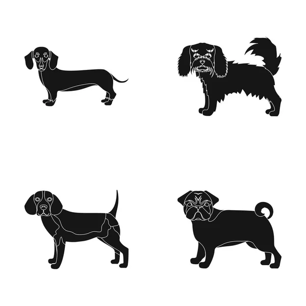 Perro, animal, doméstico y otro icono de la web en estilo negro.Dachshund, maltés, bulldog iconos en la colección de conjuntos . — Vector de stock