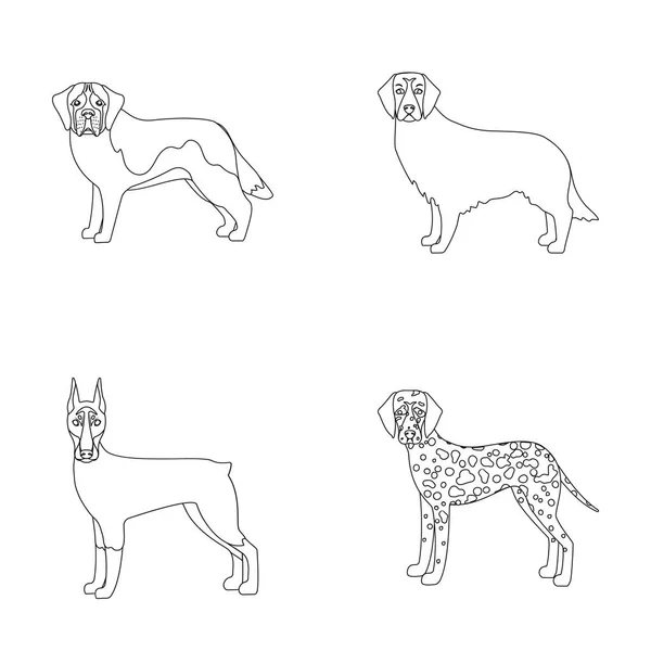 Dobrman, pes, domácí a jiné webové ikony ve stylu osnovy. Beagle, retrívr, dolmatian, ikon v kolekce sady. — Stockový vektor