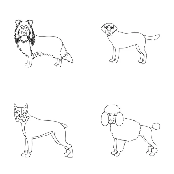 Hund, Laika, Beagle und andere Web-Symbole im Outline-Style.Pudel, Tier, Ohren Symbole in Set-Kollektion. — Stockvektor