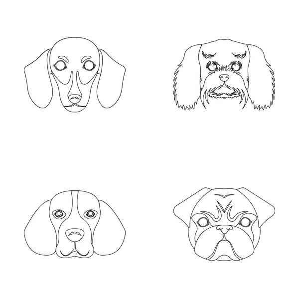 Farklı doğurmak-in köpek ağızlık. Köpek dachshund, fino, beagle, pug cinsi anahat stili vektör simge stok çizim web simgeler ayarla. — Stok Vektör
