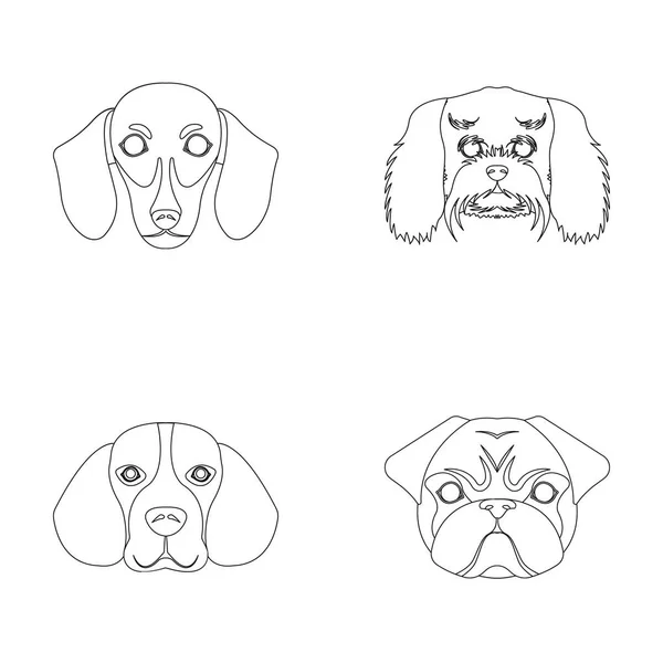 Bozal de diferentes razas de perros.Perro raza de perro salchicha, perro faldero, beagle, pug conjunto colección iconos en el contorno estilo vector símbolo stock ilustración web . — Vector de stock