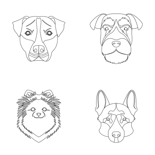 Bozal de diferentes razas de perros. Raza de perro Stafford, Spitz, Risenschnauzer, pastor alemán conjunto colección iconos en contorno estilo vector símbolo stock ilustración web . — Vector de stock