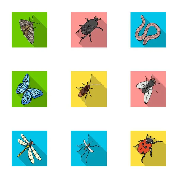 Beetle, wasp, bee, ant, fly, spider, mosquito and other insect species. Various insects set collection icons in flat style vector symbol stock isometric illustration web. — Stock Vector