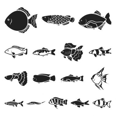 Farklı türde balık set koleksiyonu tasarım için simgeler siyah. Deniz ve akvaryum balık sembol stok web illüstrasyon vektör.