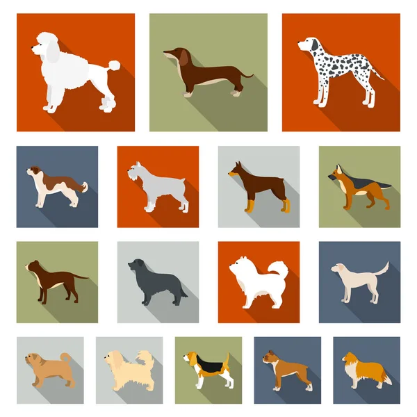 Dog breeds flat icons in set collection for design.Dog pet vector symbol stock web illustration. — Stock Vector