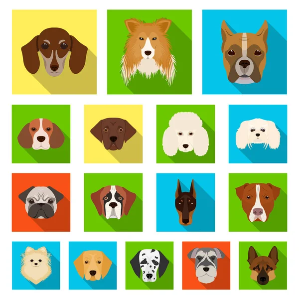 Dog breeds flat icons in set collection for design.Muzzle of a dog vector symbol stock web illustration. — Stock Vector