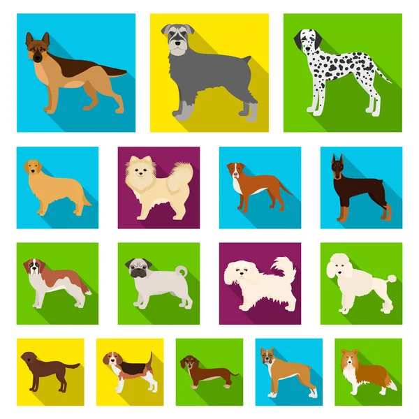 Raças de cães ícones planos na coleção de conjuntos para design.Dog animal de estimação símbolo vetorial ilustração web . — Vetor de Stock