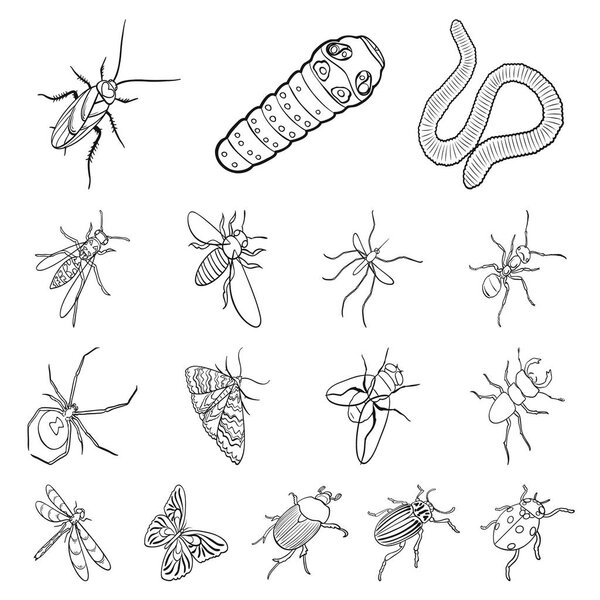 Different kinds of insects outline icons in set collection for design. Insect arthropod vector isometric symbol stock web illustration.