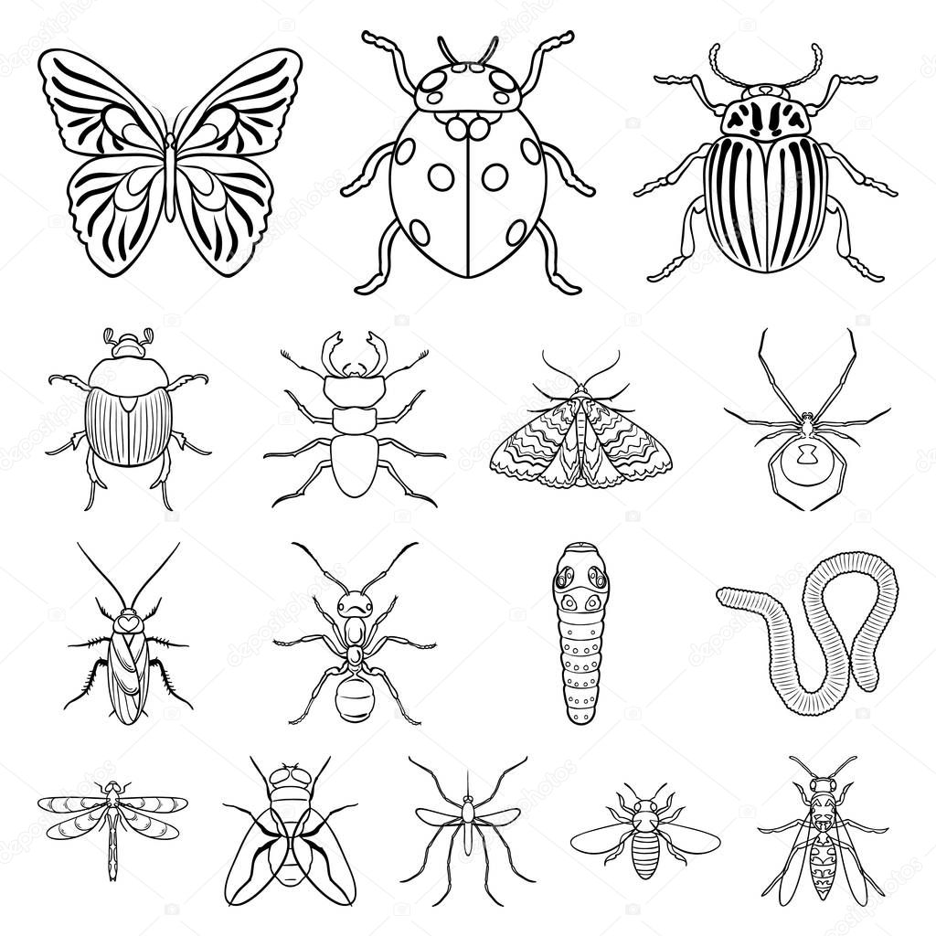 Different kinds of insects outline icons in set collection for design. Insect arthropod vector symbol stock web illustration.
