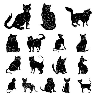 Doğurmak-in cats set koleksiyonu tasarım için simgeler siyah. Evde beslenen hayvan kedi vektör simge stok web çizim.