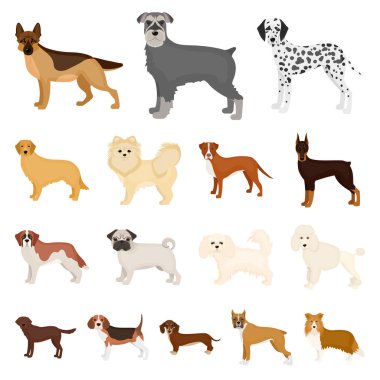 Köpek ırkları set koleksiyonu tasarım için simgeleri karikatür. Köpek evde beslenen hayvan vektör simge stok web çizim.