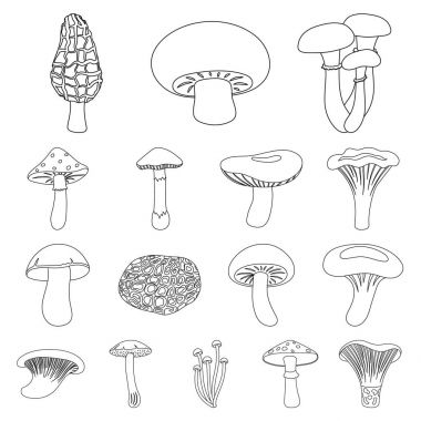 Set koleksiyonu tasarım için zehirli ve yenilebilir mantar anahat simgeleri. Mantar farklı türde sembol stok web illüstrasyon vektör.