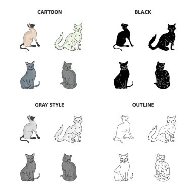 Kedi doğurmak Briton, Siyam, Nibelung, Chartreus. Farklı doğurmak-in kedi çizgi film siyah tek renkli anahat stili vektör simge stok çizim web içinde toplama simgeler ayarla.