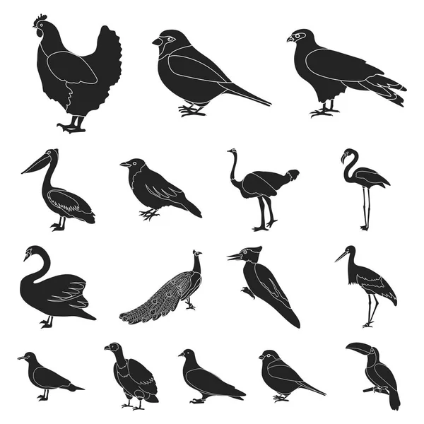 Arten von Vögeln schwarze Symbole in Set-Kollektion für Design. Haus und Wildvogel Vektor Symbol Stock Web Illustration. — Stockvektor