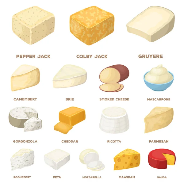 Diferentes tipos de iconos de dibujos animados de queso en la colección de conjuntos para design.Milk producto queso vector símbolo stock web ilustración . — Vector de stock