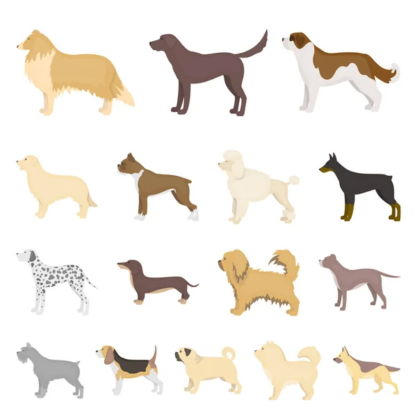 Cão raças desenhos animados ícones na coleção de conjuntos para design.Dog animal de estimação símbolo vetorial ilustração web . — Vetor de Stock